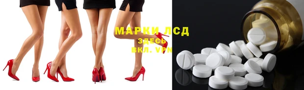 ECSTASY Богданович