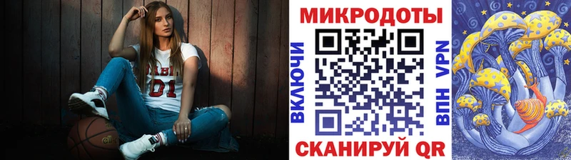 блэк спрут как войти Бирюсинск Галлюциногенные грибы мицелий